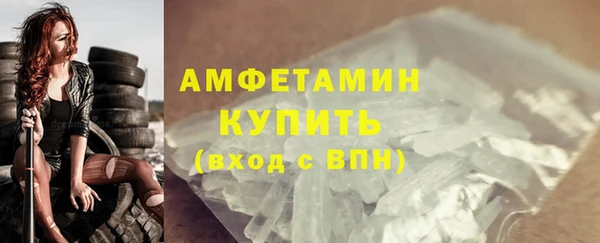СК Алексин