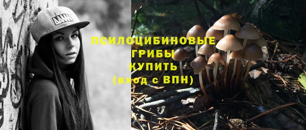 СК Алексин