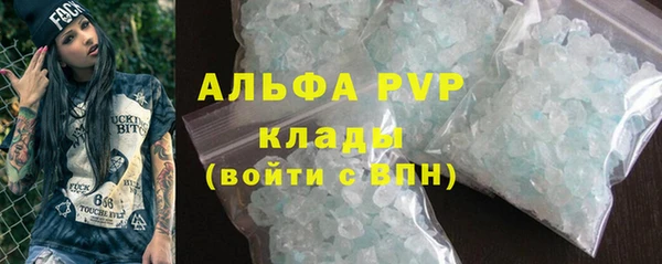 СК Алексин