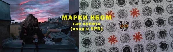 СК Алексин